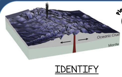 <p>Identify the type of plate boundary illustrated above.</p>