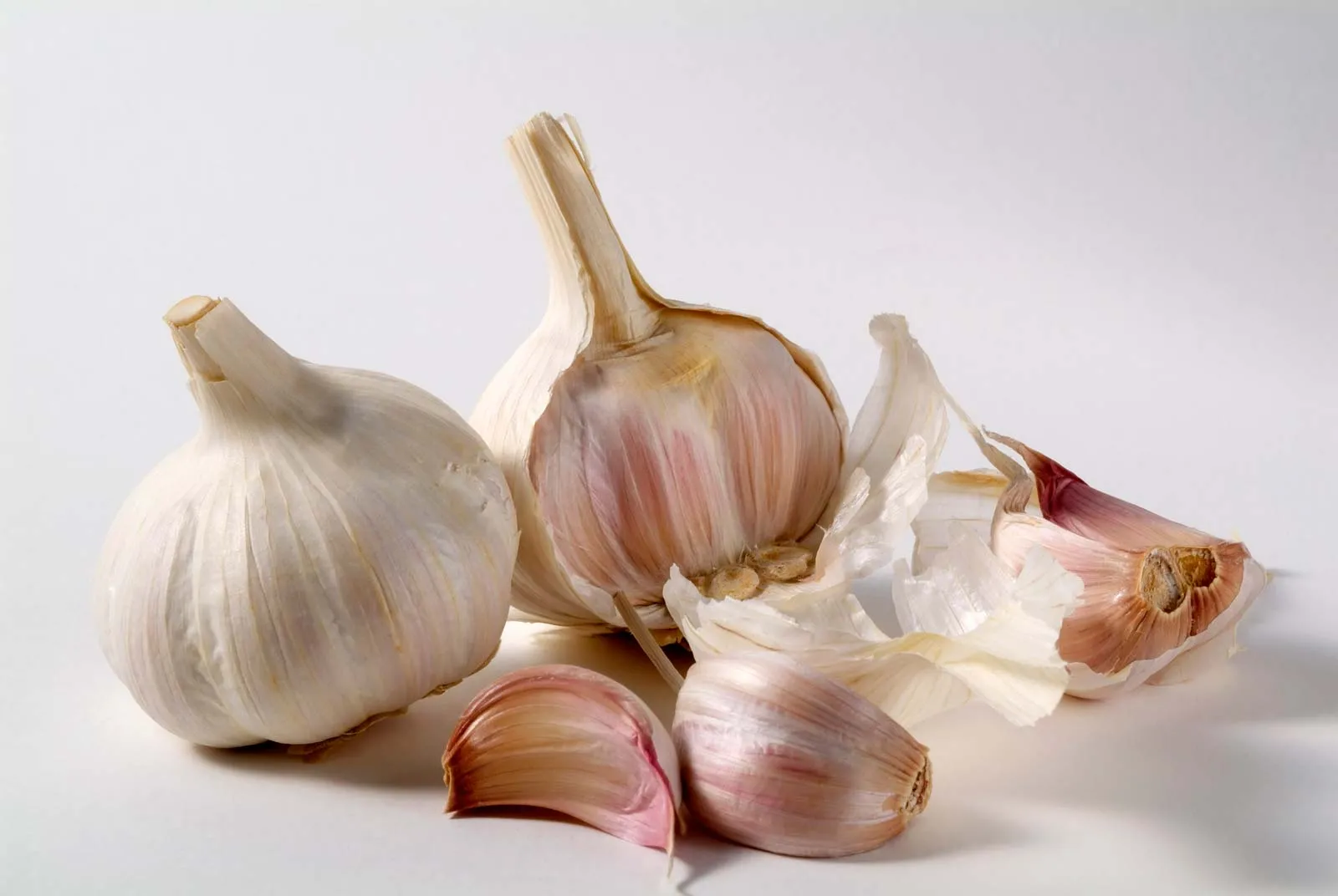 <p>Garlic</p>