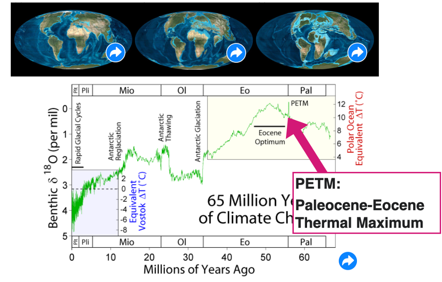 <p>The APP orders:</p><p class="MsoListParagraphCxSpMiddle">Even-toed ungulates (artiodactyla):Foregut digesters, <span style="font-family: "Times New Roman"; line-height: normal; font-size: 7pt;"><span> </span></span>Pigs, camels, ruminants</p><p class="MsoListParagraphCxSpMiddle"><span><span>-</span></span><span style="font-family: "Times New Roman"; line-height: normal; font-size: 7pt;"><span>&nbsp;&nbsp;&nbsp;</span></span>Odd toed ungulates (perissodactyla): Hindgut fermenters, Horses, zebras, rhinos</p><p class="MsoListParagraphCxSpMiddle"><span><span>-</span></span><span style="font-family: "Times New Roman"; line-height: normal; font-size: 7pt;"><span>&nbsp;&nbsp; </span></span>Primates: Lemurs, monkeys, apes</p><p class="MsoListParagraphCxSpMiddle"><span><span>-</span></span><span style="font-family: "Times New Roman"; line-height: normal; font-size: 7pt;"><span>&nbsp; </span></span>Led to humans. These things appear quite abruptly</p><p class="MsoNormal">PETM = paleocene-eocene thermal maximum</p><ul><li><p class="MsoNormal">spike in temp very important</p></li></ul><p></p>