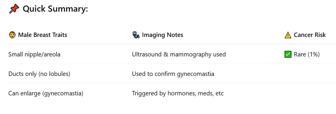 <p></p><p><span data-name="radio_button" data-type="emoji">🔘</span> <strong>Anatomy Basics</strong></p><ul><li><p class=""><span data-name="man_curly_haired" data-type="emoji">👨‍🦱</span> Male <strong>nipple and areola</strong> = small</p></li><li><p class=""><span data-name="microscope" data-type="emoji">🔬</span> Male breasts have:</p><ul><li><p class=""><span data-name="check_mark_button" data-type="emoji">✅</span> <strong>Ducts</strong> under the nipple</p></li><li><p class=""><span data-name="cross_mark" data-type="emoji">❌</span> No <strong>lobules</strong> or <strong>acini</strong> (no milk-making parts)</p></li></ul></li></ul><p></p><p><span data-name="chart_increasing" data-type="emoji">📈</span> <strong>What Can Happen?</strong></p><ul><li><p class=""><span data-name="chart_decreasing" data-type="emoji">📉</span> Normally, duct tissue stays <strong>small</strong></p></li><li><p class=""><span data-name="warning" data-type="emoji">⚠</span> Sometimes it <strong>grows (hypertrophies)</strong> due to:</p><ul><li><p class=""><span data-name="arrows_counterclockwise" data-type="emoji">🔄</span> Hormonal changes (puberty, aging)</p></li><li><p class=""><span data-name="test_tube" data-type="emoji">🧪</span> Certain diseases</p></li><li><p class=""><span data-name="pill" data-type="emoji">💊</span> Medications</p></li></ul></li></ul><p></p><p><span data-name="boom" data-type="emoji">💥</span> <strong>This condition = Gynecomastia</strong></p><ul><li><p class=""><span data-name="camera_with_flash" data-type="emoji">📸</span> Imaging (mammogram &amp; ultrasound) is used to:</p><ul><li><p class="">Confirm it’s <strong>benign</strong></p></li><li><p class=""><span data-name="check_mark_button" data-type="emoji">✅</span> <strong>Rule out cancer</strong></p></li></ul></li></ul><p></p><p><span data-name="reminder_ribbon" data-type="emoji">🎗</span> <strong>Male Breast Cancer</strong></p><ul><li><p class=""><span data-name="exclamation" data-type="emoji">❗</span>Rare, but it <strong>does happen</strong></p></li><li><p class=""><span data-name="flag_us" data-type="emoji">🇺🇸</span> ~<strong>1,300 new cases/year</strong> in the U.S.</p></li><li><p class=""><span data-name="bar_chart" data-type="emoji">📊</span> That’s about <strong>1%</strong> of the number in women</p></li></ul><img src="https://knowt-user-attachments.s3.amazonaws.com/761f93e9-b851-4df2-8636-48d874b4a14b.jpg" data-width="100%" data-align="center"><p></p>