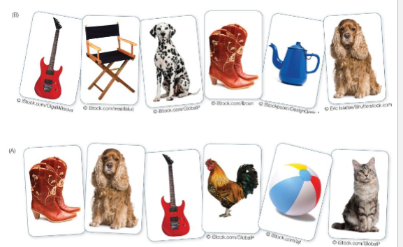 <p>brennan and clark (1996) findings</p><ul><li><p>the director instructed the other participant on how to arrange the card</p></li><li><p>two objects were of the same kind (ex. dogs)</p></li><li><p>what happens when this ambiguity is removed?</p></li></ul><p></p>