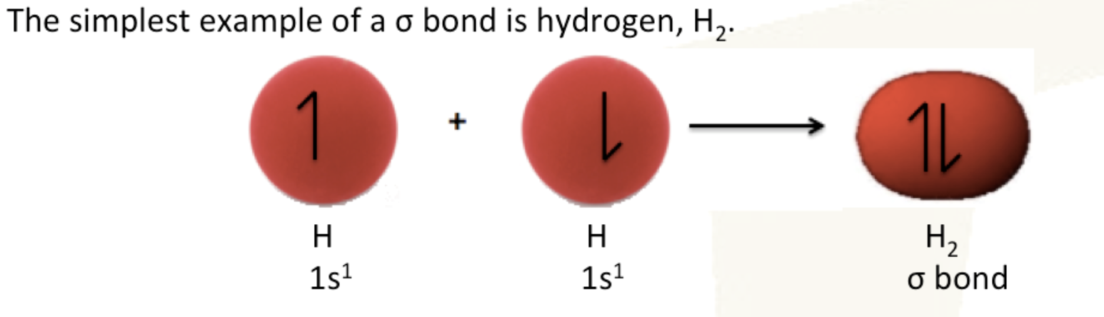 <p>formed by the direct head-on/end-to-end overlap of atomic orbitals; combine along a line drawn through the two nuclei to form a new molecular orbital. This results in the electron density concentrated between the nuclei of the bonding atoms</p>
