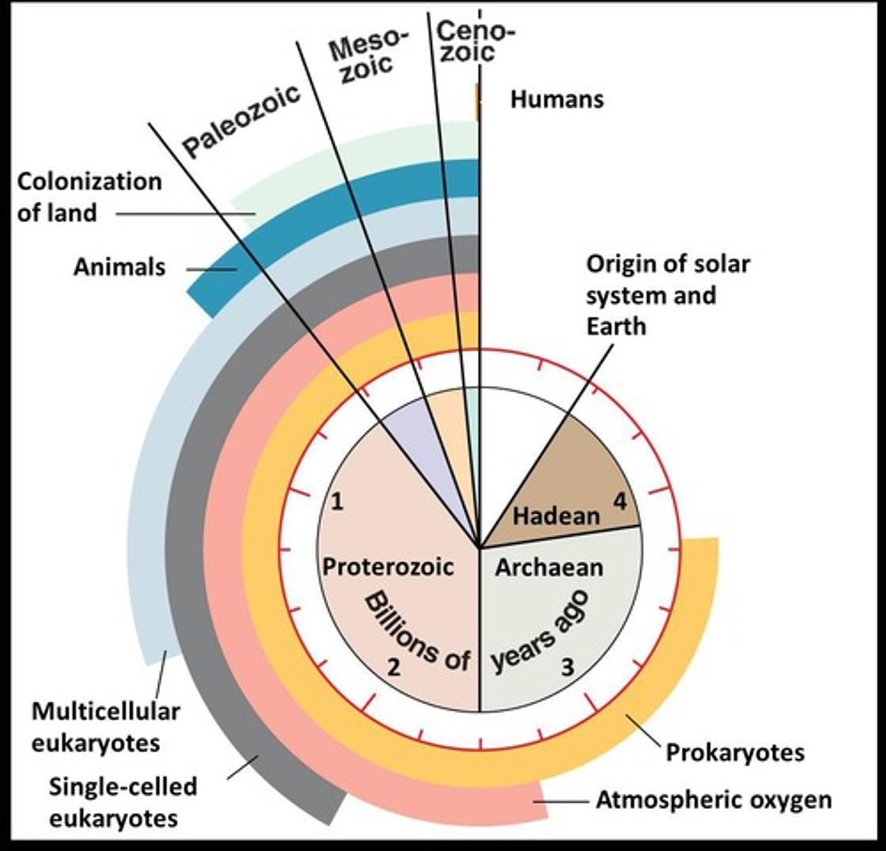 <p>The Permian extinction, which occurred about 252 million years ago.</p>