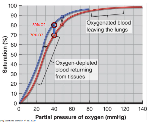 <p>Blood essentially moves up and down the hill, along the line as it moves from tissue to heart and back</p>