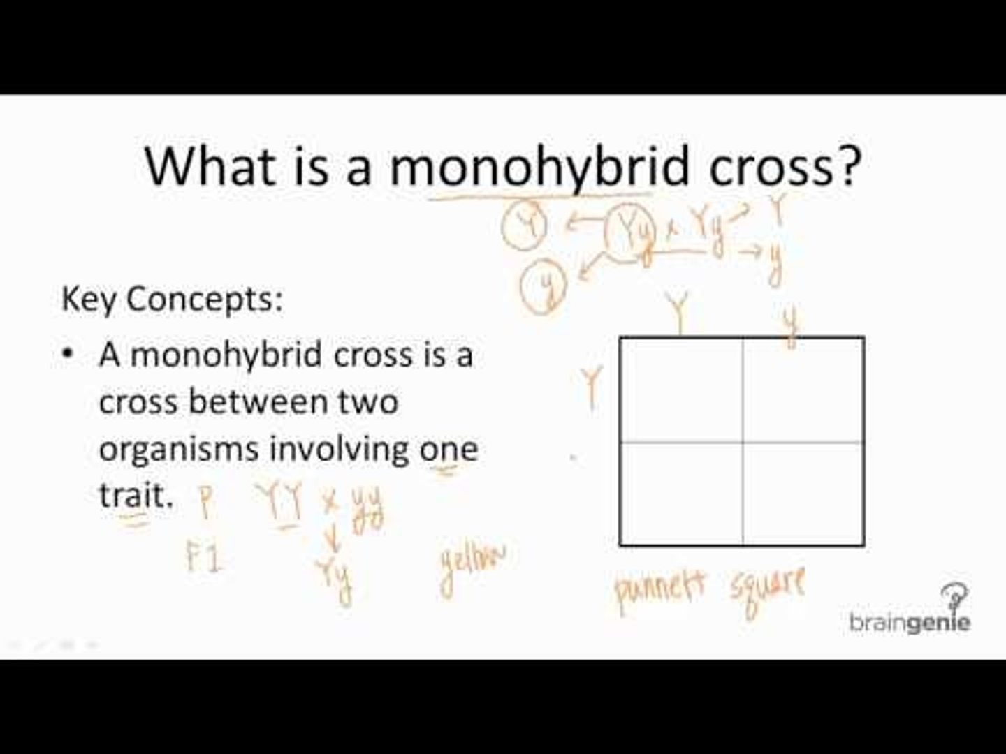 <p>Accounts for one gene</p><p>A cross between individuals that involves one pair of contrasting traits</p>