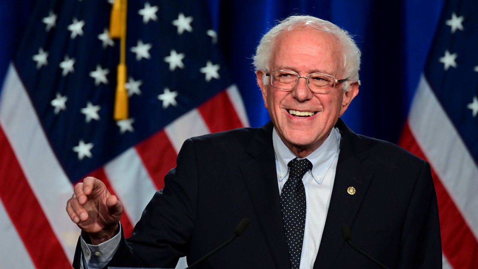 <p>US independent senator known for his progressive policies advocating for social justice, healthcare reform, and income equality. Called a modern-day socialist.</p>