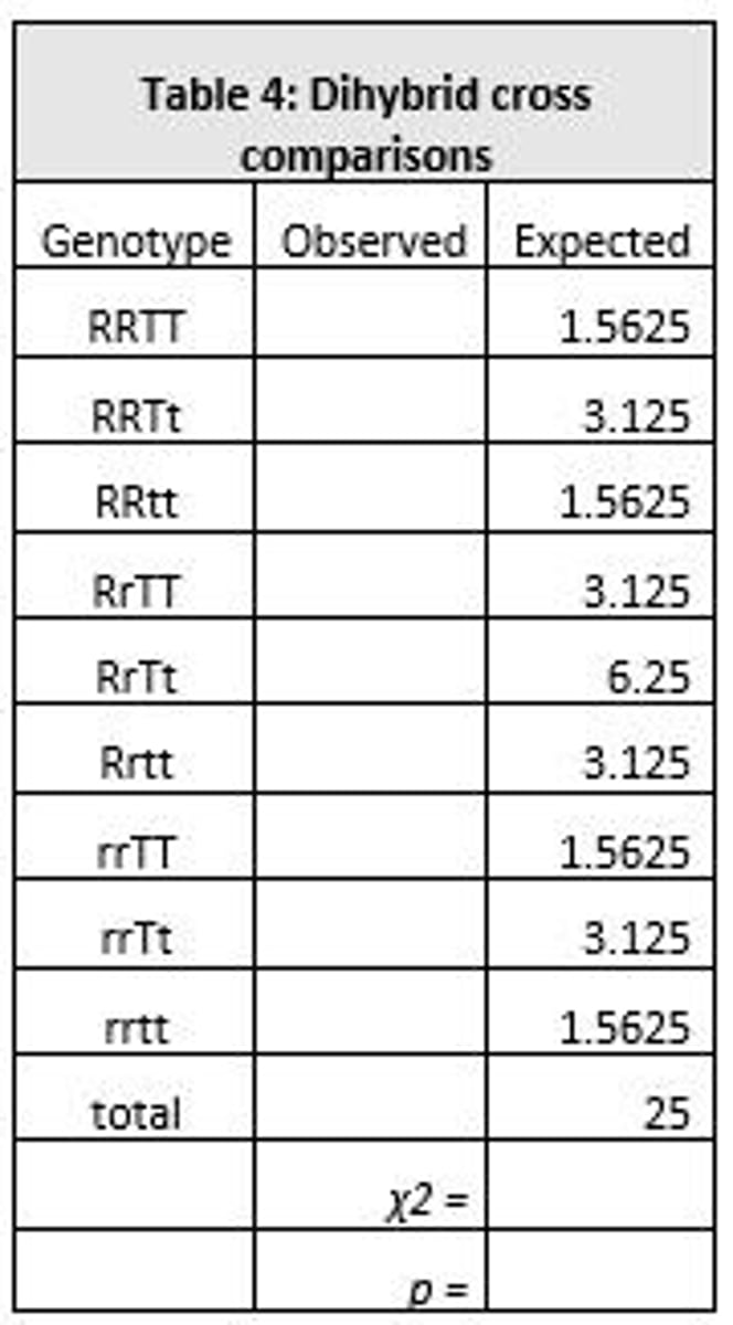 <p>The genotypic ratio is 1 TT : 2 Tt : 1 tt.</p>
