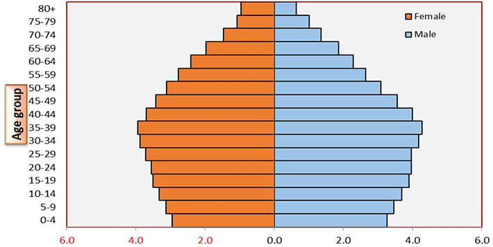 <p>Demographic Momentum</p>