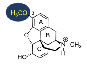 <p><span><strong>poor </strong>μ <strong>agonist<br>but effective anti-tussive</strong></span></p>