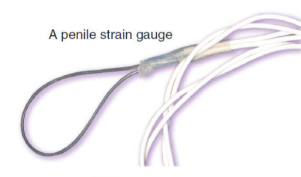 <p>Penile plethysmograph </p>