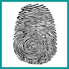 <p>Whorl</p>