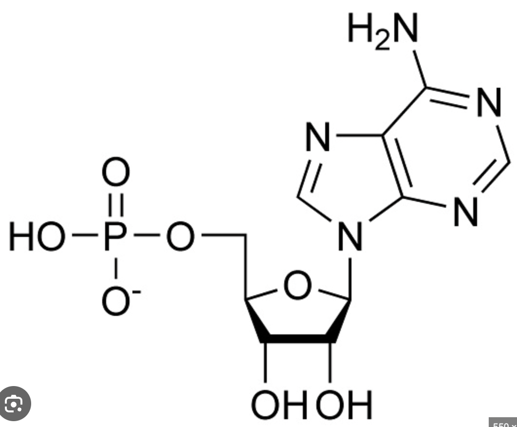 <p>What macromolecule?</p>