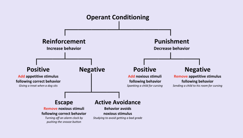 Operant Conditioning 