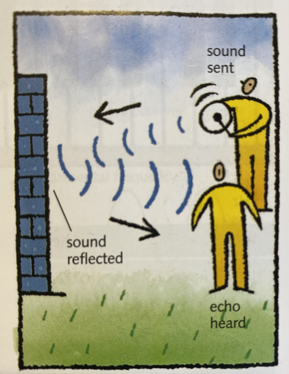 <p>Because the sound is sent to the wall, then reflected back, and then we hear the echo.</p>