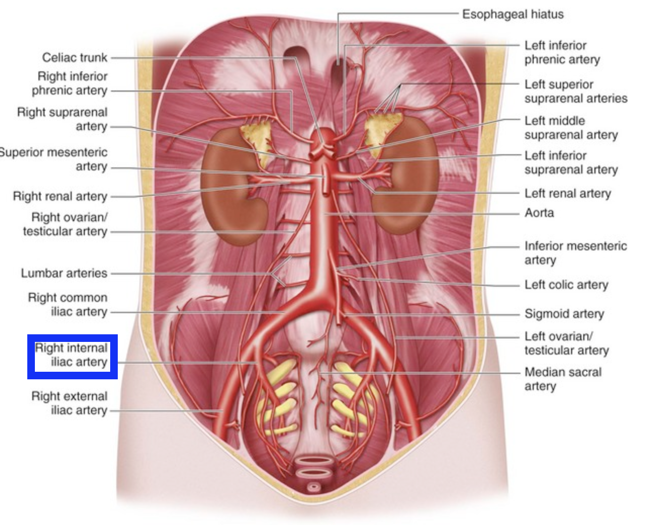 <p>left is on the opposite side</p>