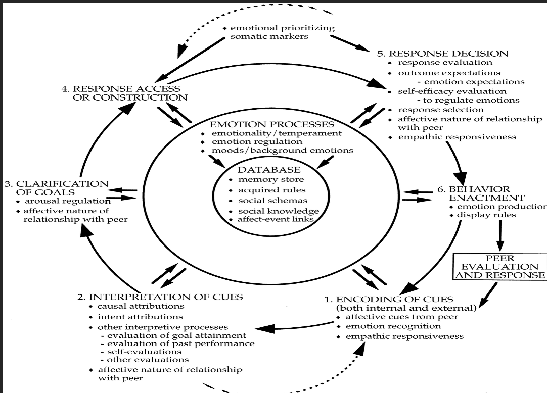 <ol><li><p>Encoding of social cues</p></li><li><p class="MsoListParagraphCxSpMiddle">Interpretation of social cues and mental representation of the social situation</p></li><li><p class="MsoListParagraphCxSpMiddle">Clarification of goals for social situation</p></li><li><p class="MsoListParagraphCxSpMiddle">Response access or construction</p></li><li><p class="MsoListParagraphCxSpMiddle">Response decision</p></li><li><p class="MsoListParagraphCxSpLast">Behavioural enactment</p></li></ol><p class="MsoNormal">Circular model, not linear</p>