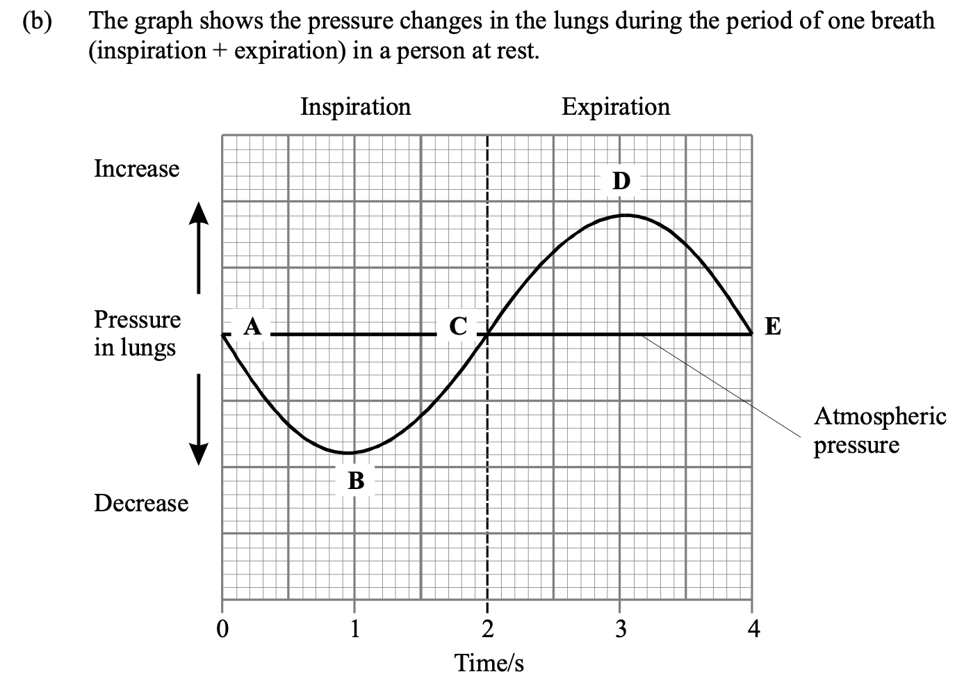 <p>Use your knowledge of breathing to explain the changes in pressure during inspiration</p><p class="p1">and expiration. The letters on the graph are to help you to refer to different parts of the</p><p class="p1">curve.</p>