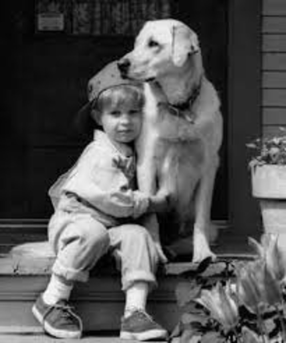 <p>Someone who stands by you in good times and bad</p>