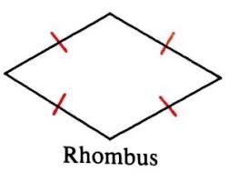 <p>Perimeter of a rhombus</p>