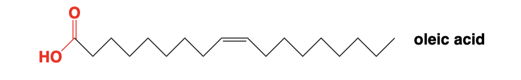 <p>Hydrocarbon chains terminating with a carboxylic acid</p>
