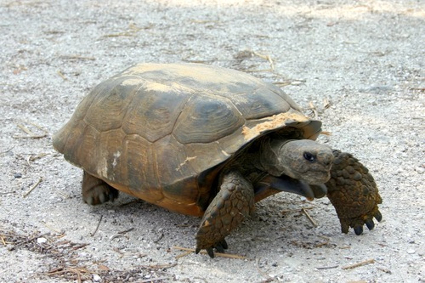 <p>Slowly</p>