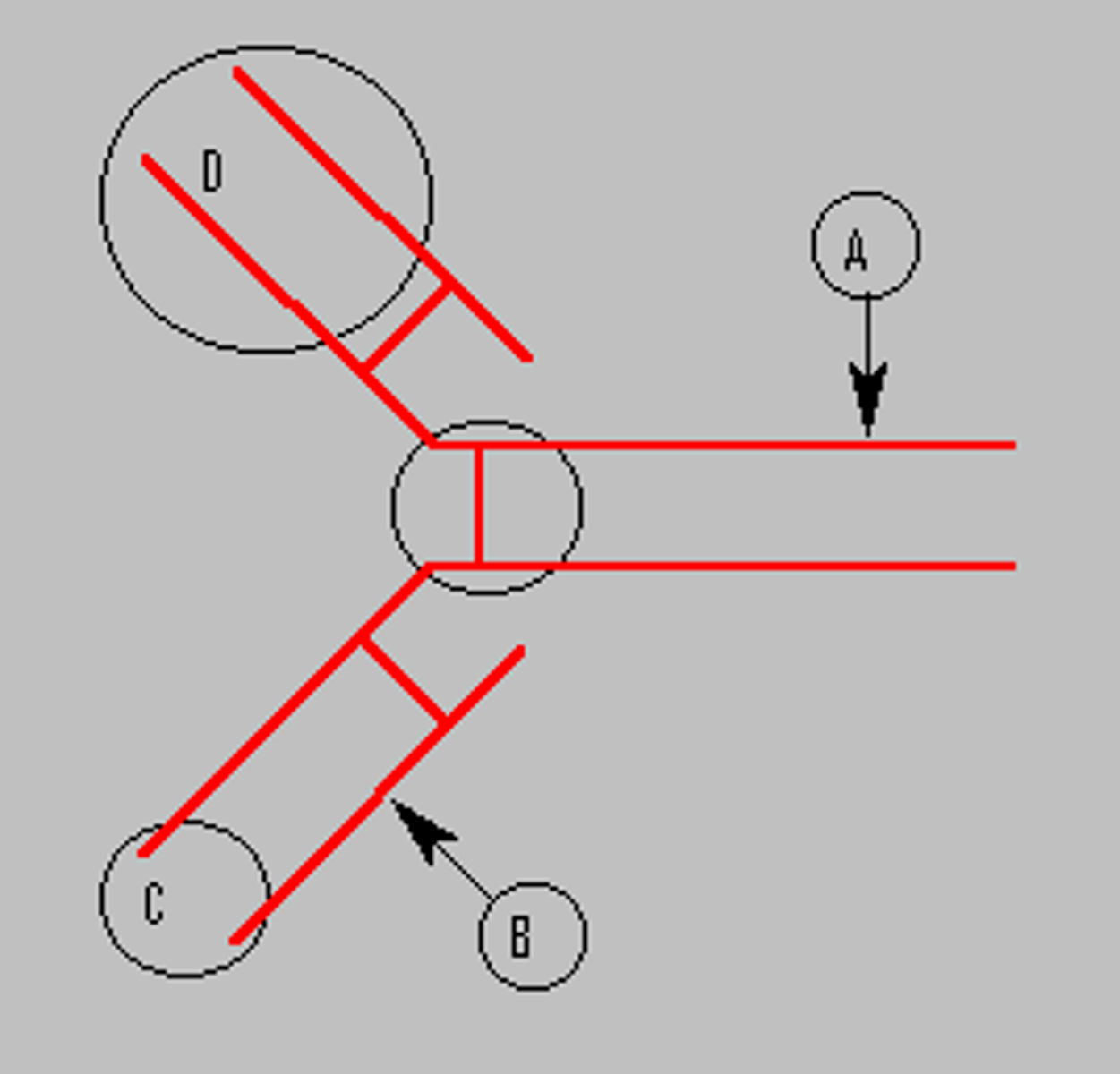 <p>From the IgG molecule illustration, which region is the heavy chain?</p><p>Please select the single best answer</p><p>A</p><p>B</p><p>C</p><p>D</p>