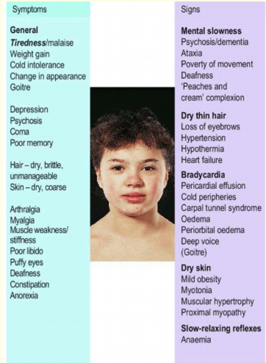 <p>Signs: <br>slow movement/carpel tunnel<br>dry, thin hair<br>oedema<br>dry skin<br>hypertension<br><br>Symtoms:<br>general tiredness/malaise<br>depression<br>puffy eyes<br>poor libido<br></p>