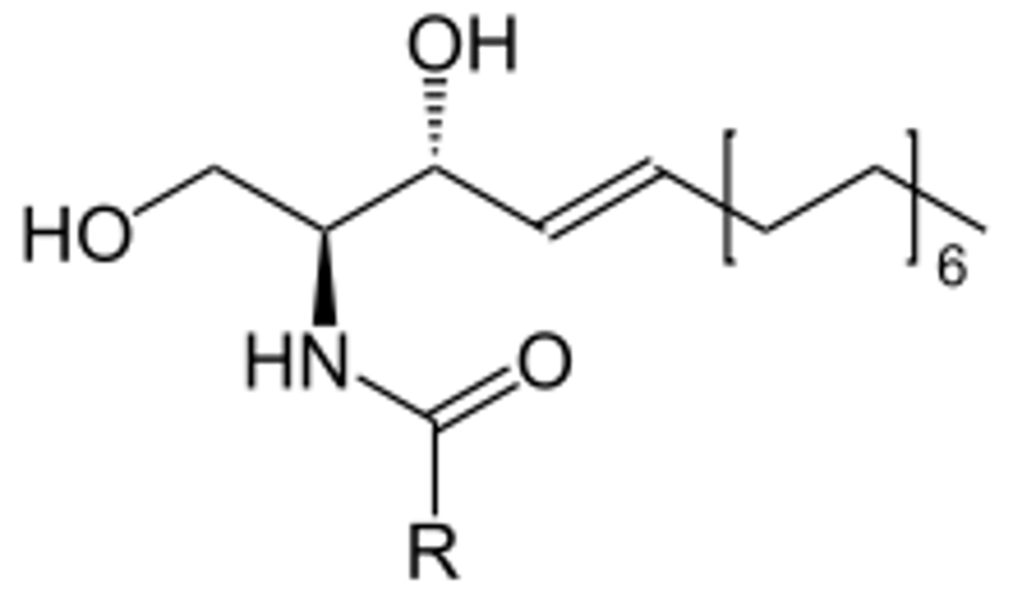 <p>sphingolipid (H substituent on C3 ether)</p>