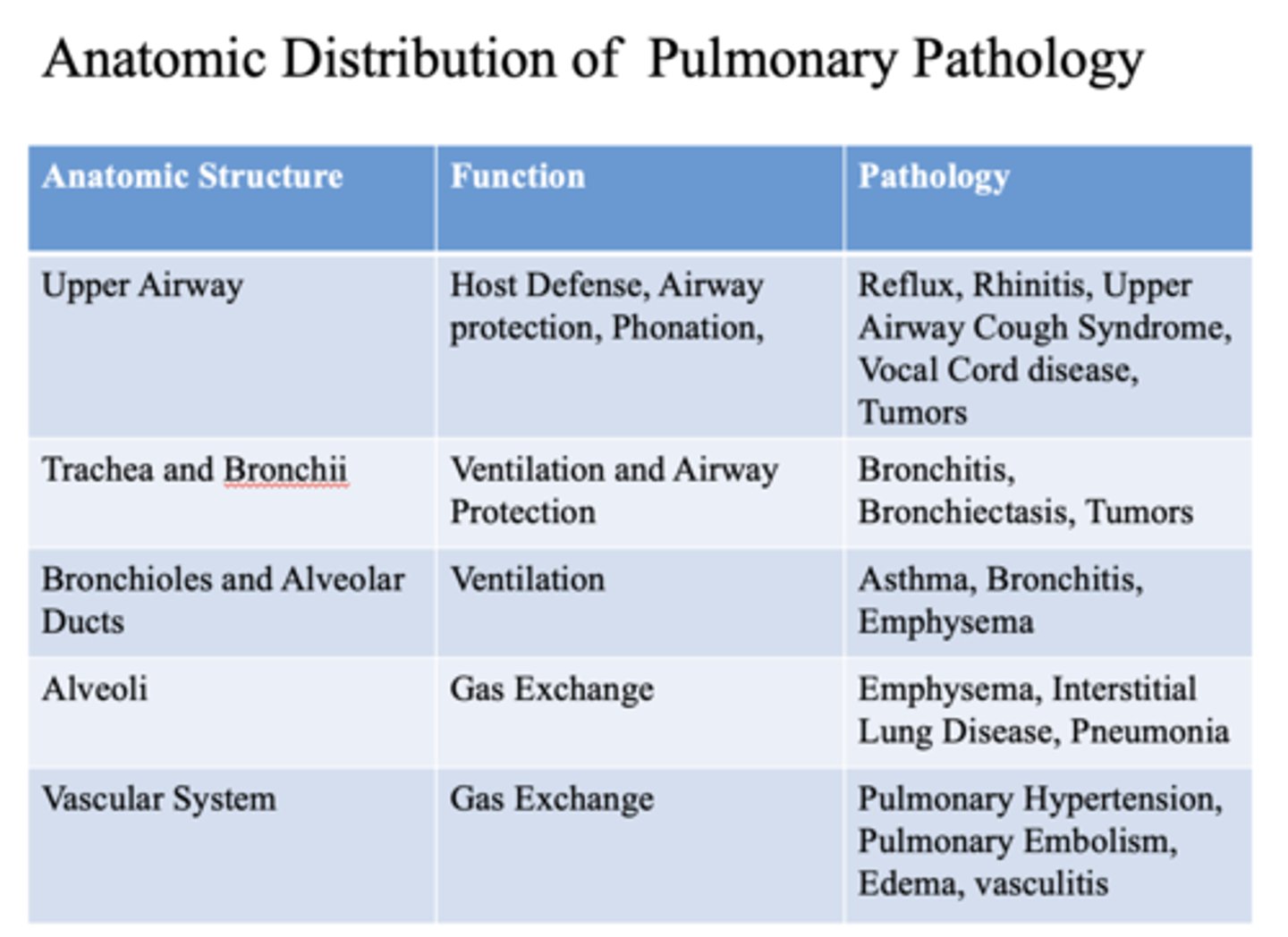 <p>upper airway</p>