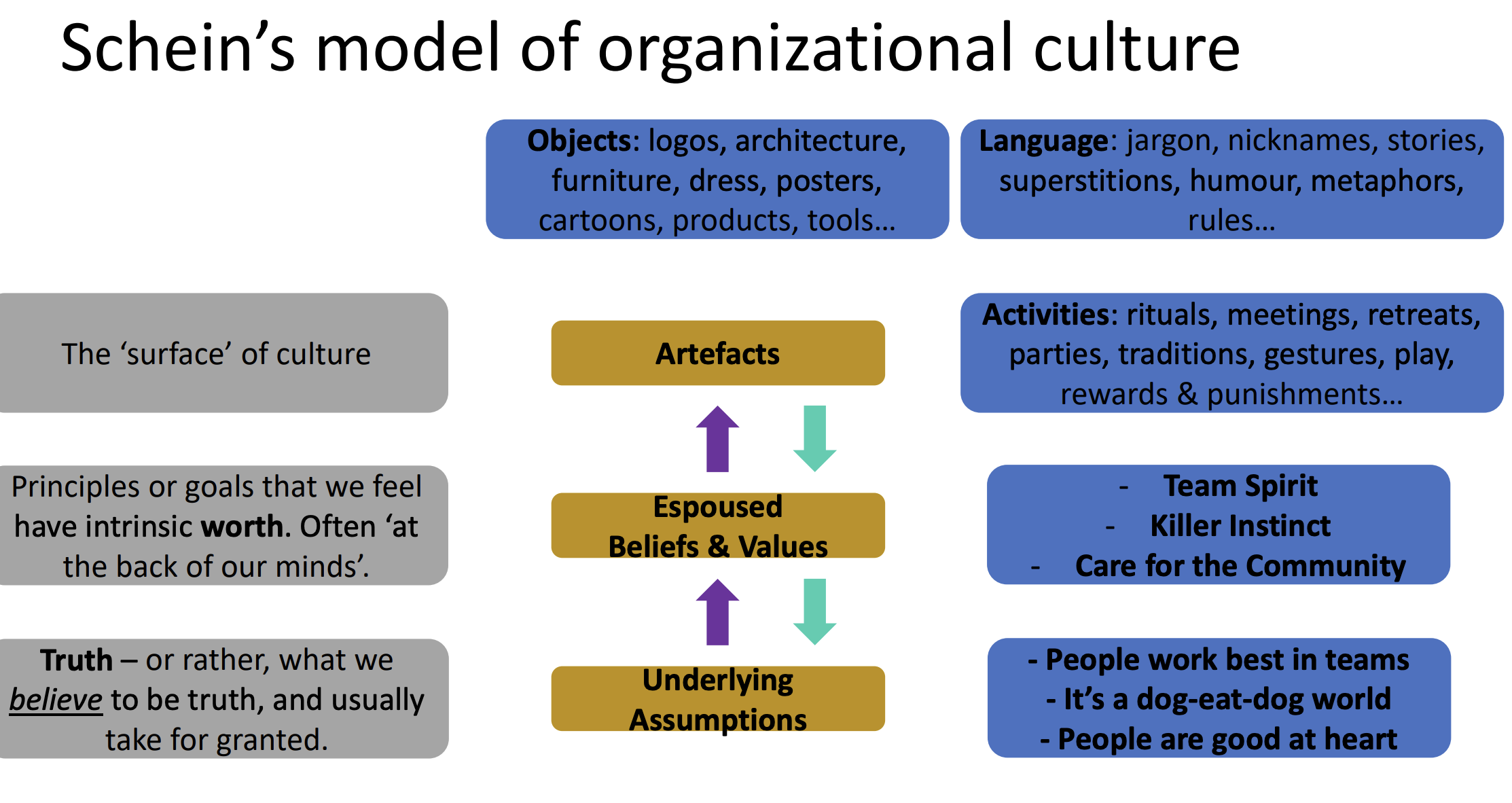 <ul><li><p>The ‘surface’ of culture / <span>shallowest indicator of what an organization’s culture is actually like</span></p></li><li><p><span>Visible, tangible aspects of culture that we can easily observe</span></p></li><li><p>Activities (ex: meetings, retreats), Objects and Language</p></li></ul>