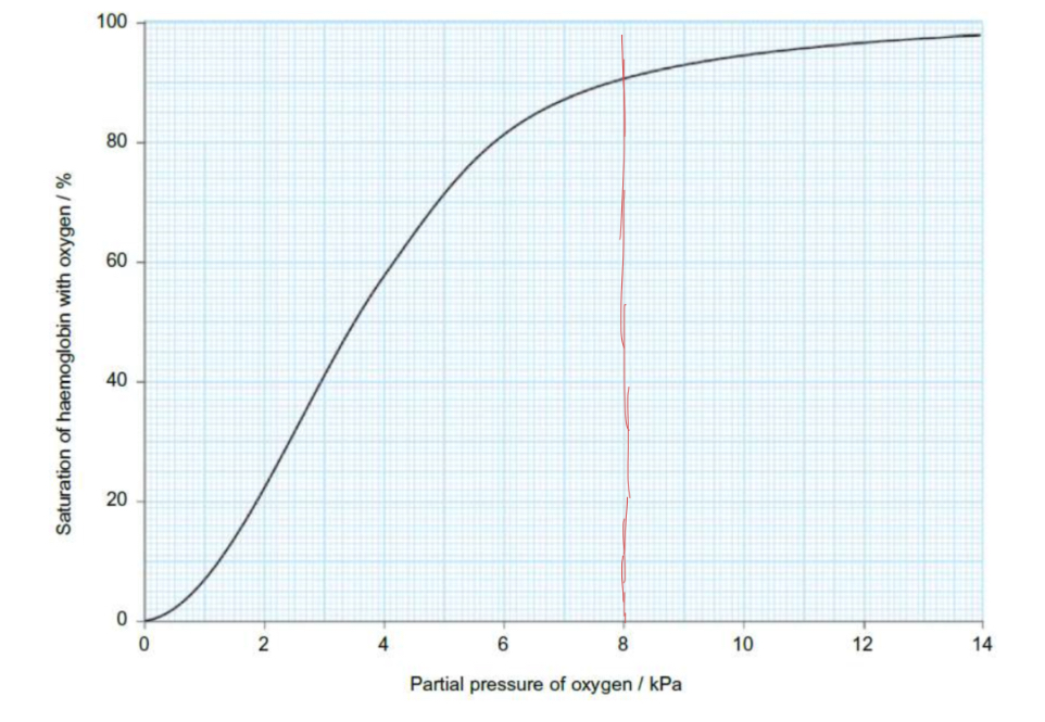 <p>describe and explain the graph : </p>