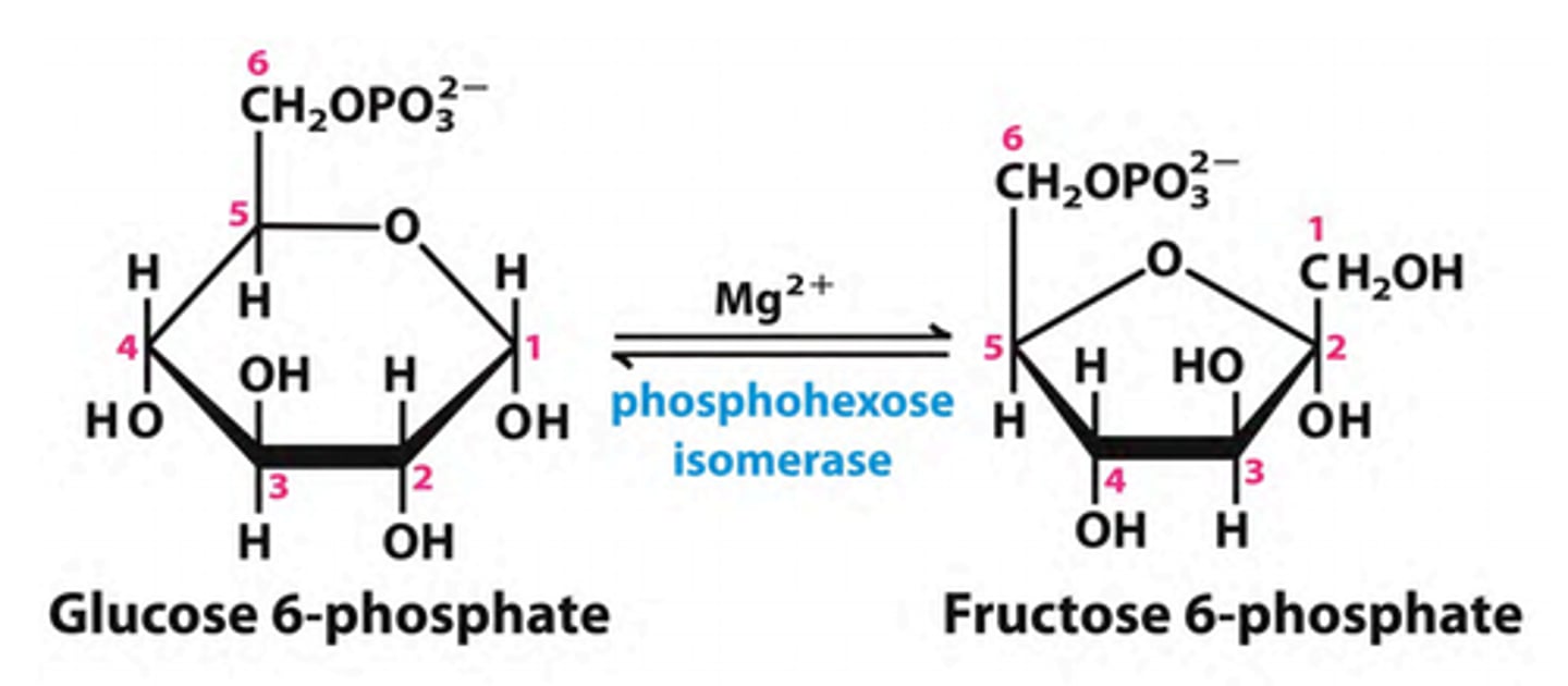 <p>reactant: glucose 6-phosphate</p><p>enzyme: phosphohexose isomerase</p><p>product: fructose 6-phosphate</p><p>- requires Mg2+</p><p>- makes molecule more symmetrical</p>