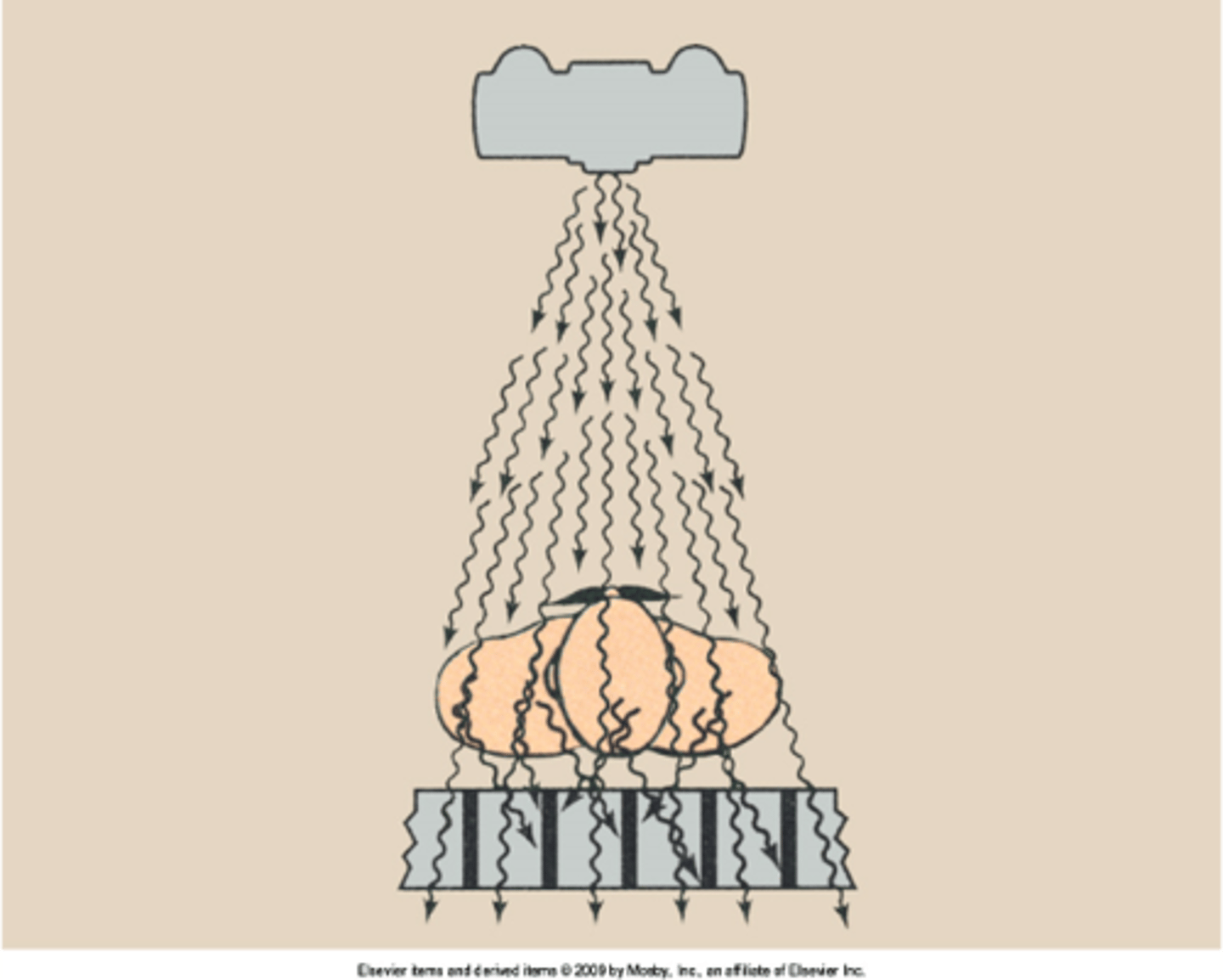 <p>When we use a grid, what do we adjust?</p>