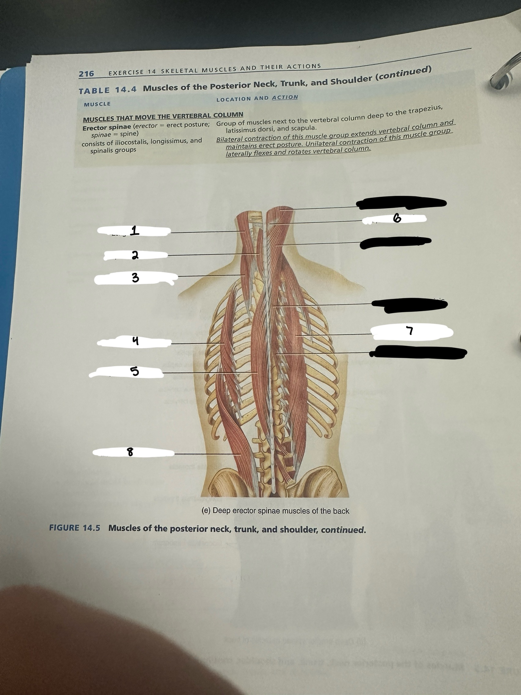 <p>what is 8</p>