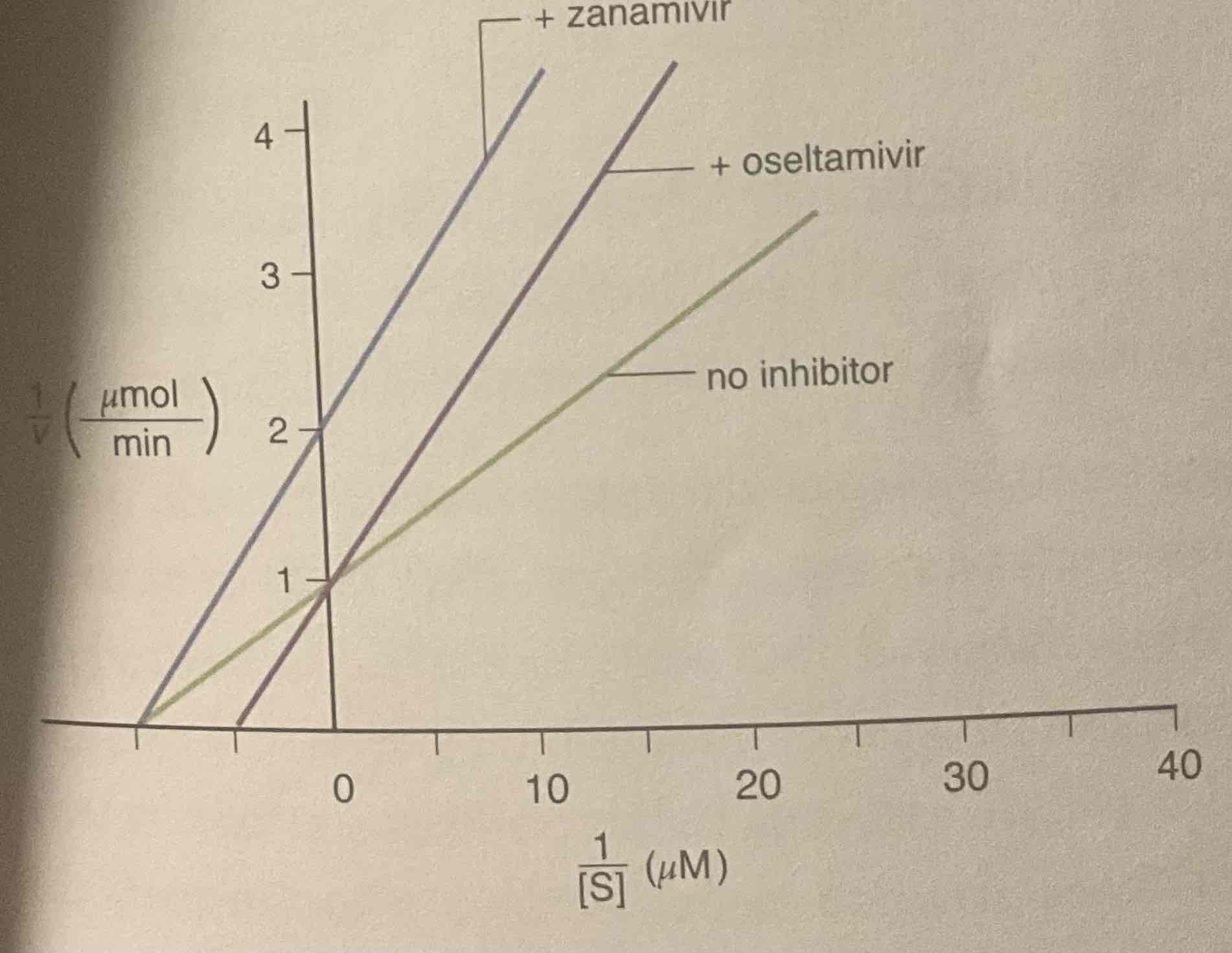 <p>The graph below shows kinetic data obtained for flu virus enzyme activity as function of substrate concentration in the presence and absence of two antiviral drugs. </p><p>Based on the graph, which of the following statements is correct? </p><p>A. Both drugs are non competitive inhibitors of the viral enzyme </p><p>B. Oseltamivir increase the Km value for the substrate compared to Relenza </p><p>C. Zanamivir increases the Vmax value for the saubstrate compared to Tamiflu </p><p>D. Both drugs are competitive inhibitors of the viral enzyme. </p>