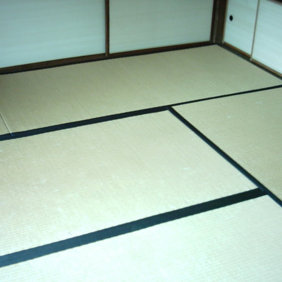 <p>A modular floor mat (3' x 6')</p>