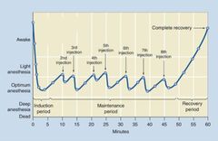<p>What type of induction agent/maintenance agent does this curve represent?</p>