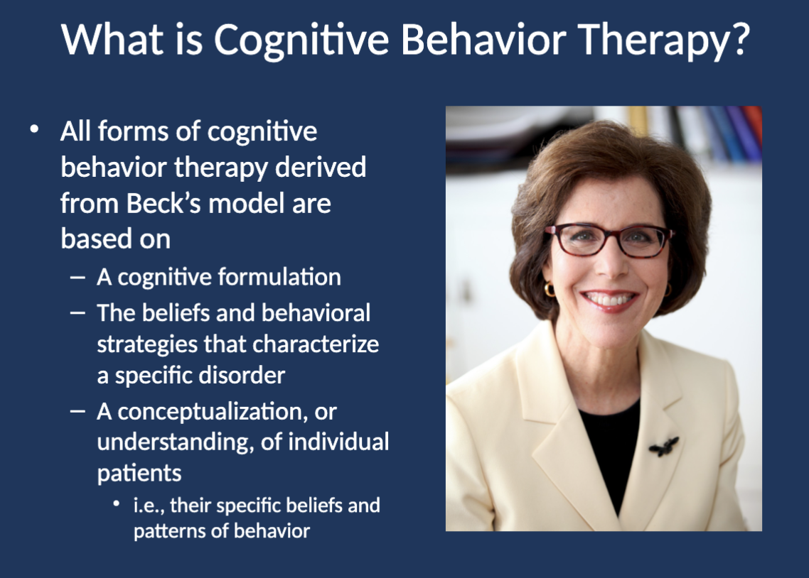 <p>A cognitive formulation, beliefs and behavioral strategies of a specific disorder, and a personalized conceptualization of the patient.</p>