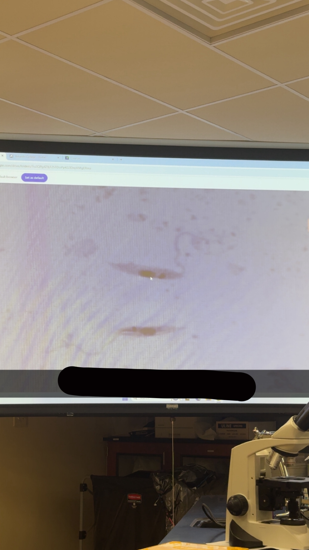 <p>What’s the name of this </p>