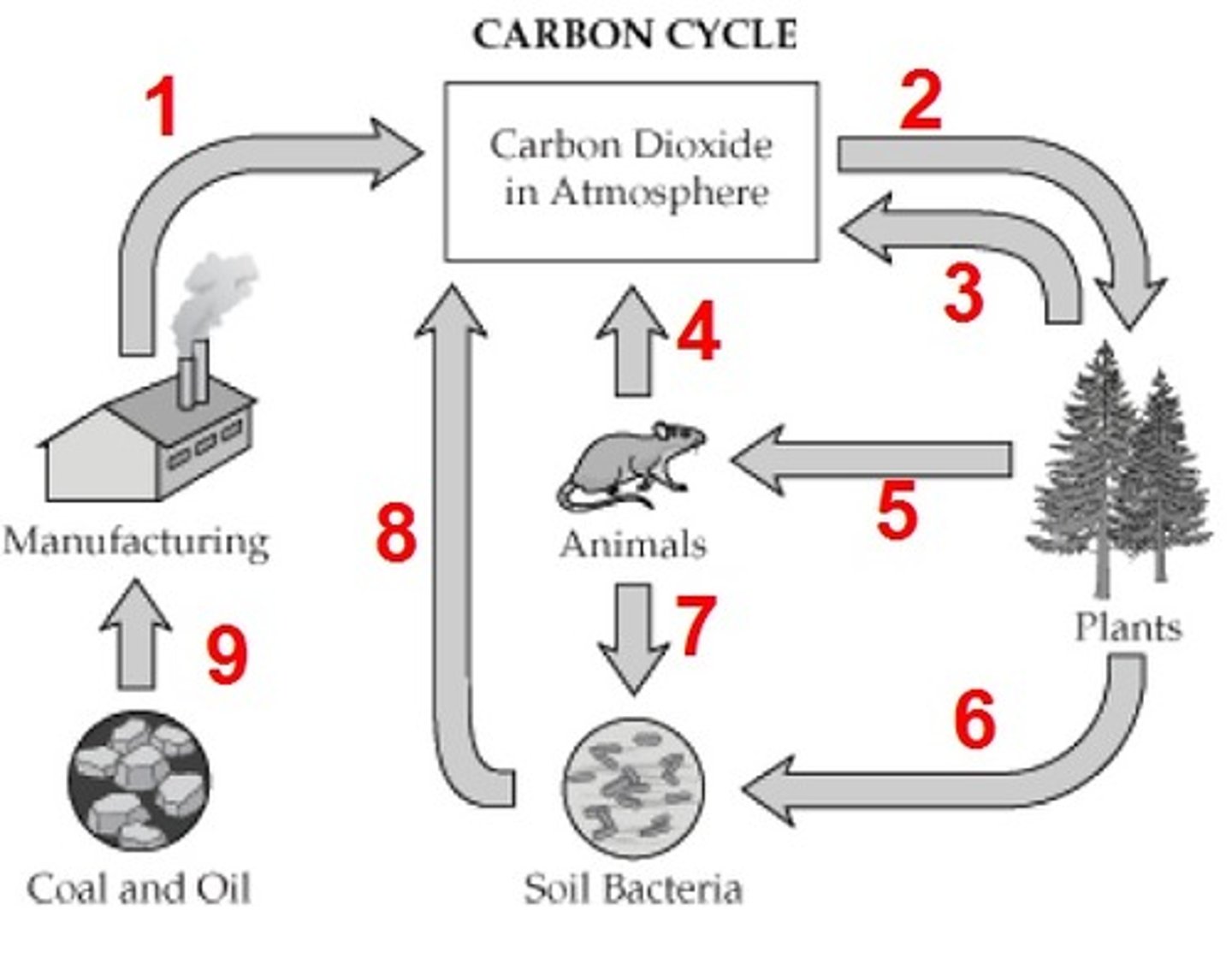 <p>What is process 7?</p>