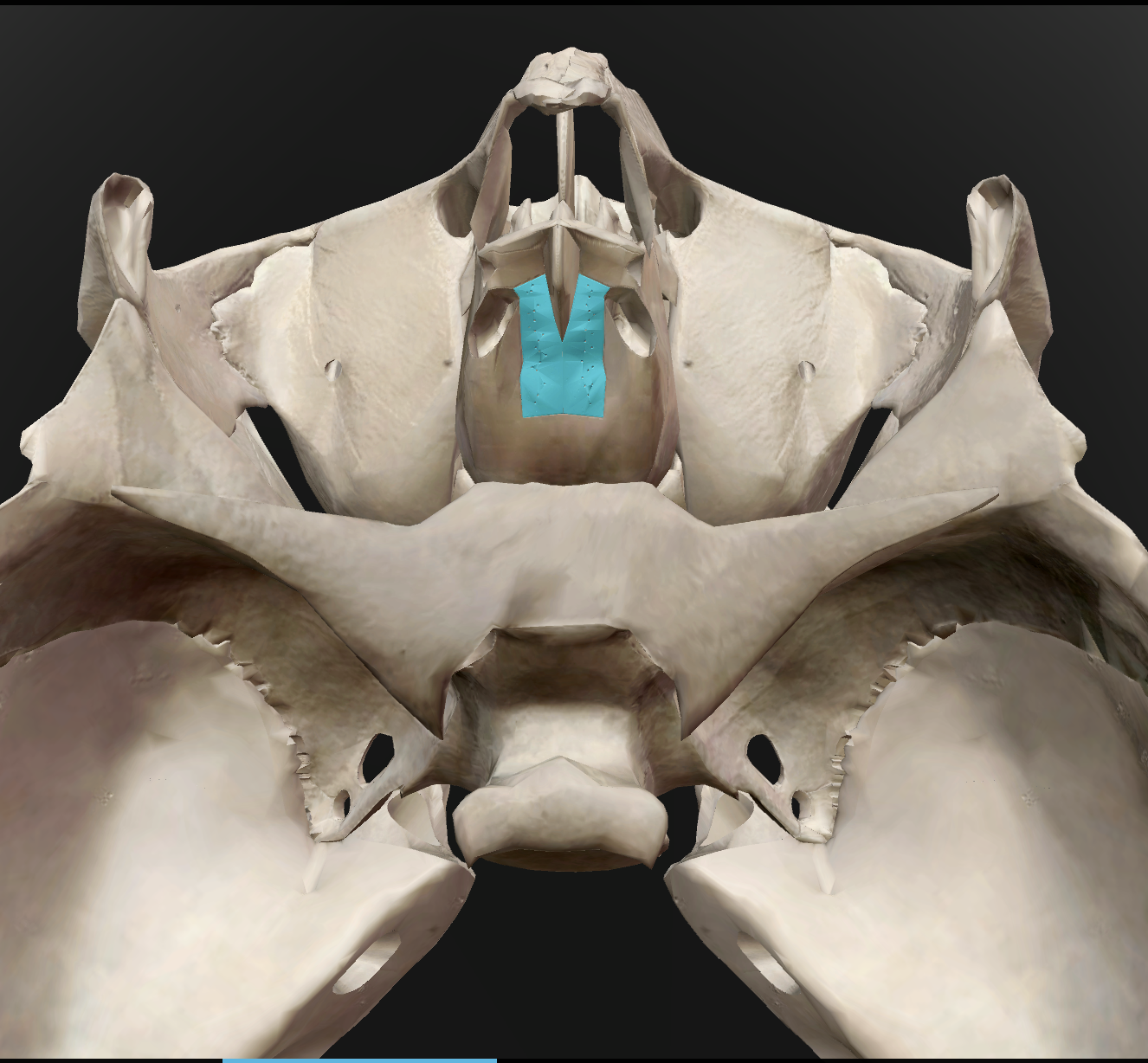 <p>What is the name of this feature?</p>