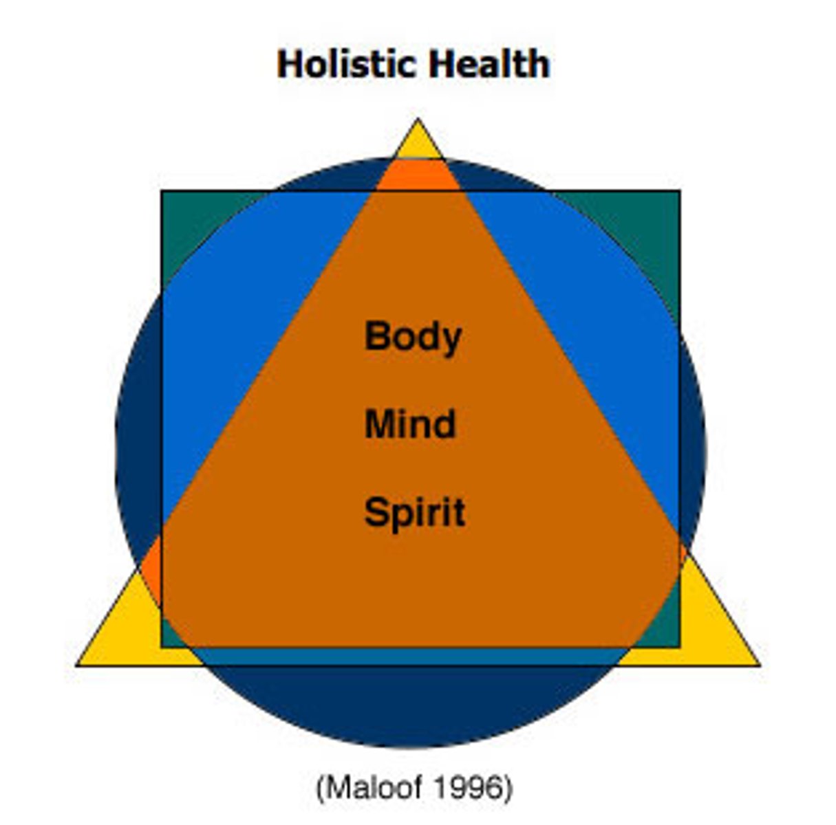 <p>/həʊˈlɪstɪk/ tính từ</p><p>toàn diện, nhìn tổng thể</p><p>holistic approach</p><p>A holistic approach to health includes both physical and mental well-being.</p><p>comprehensive, integrated</p><p>holism</p>