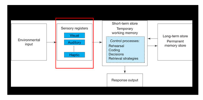 <ul><li><p>Brain actively manipulates information and process it (need to be able to manipulate)</p></li><li><p>Humans are not passive receivers of information</p></li></ul><p></p><p></p><p>some information gets transferred to long term </p><p></p><p></p>