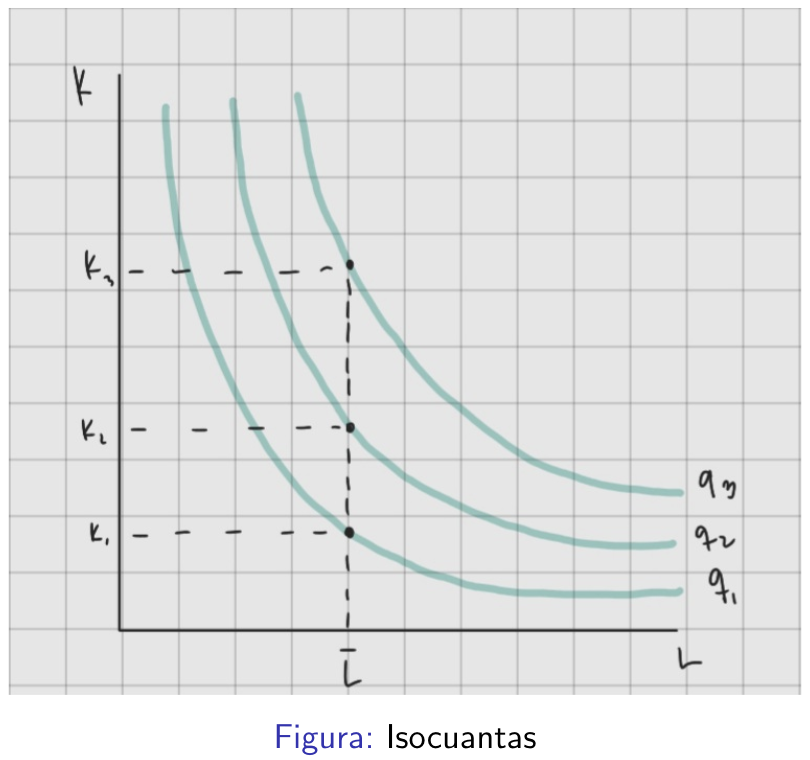 <p>la curva que muestra todas las posibles combinaciones eficientes de mano de obra y capital</p><p>$$\bar q = f(L,K)$$</p>