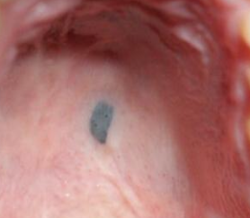 <p>What is this?</p>