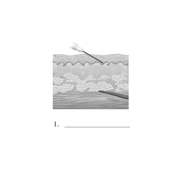 <p>1</p>