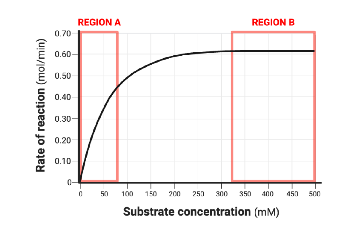 <p><span>Complete the following sentence.&nbsp;In Region A, an increase in the substrate concentration would &nbsp;______ the rate of reaction.&nbsp;</span></p>