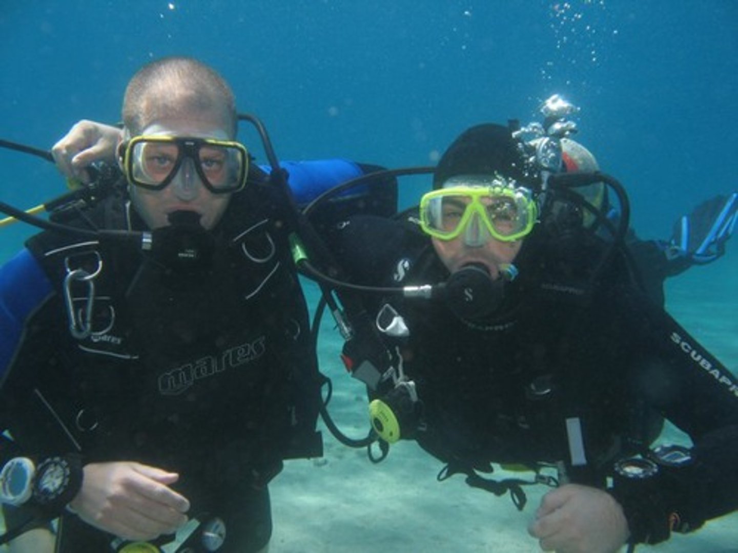 <p>to scuba dive / snorkel</p>