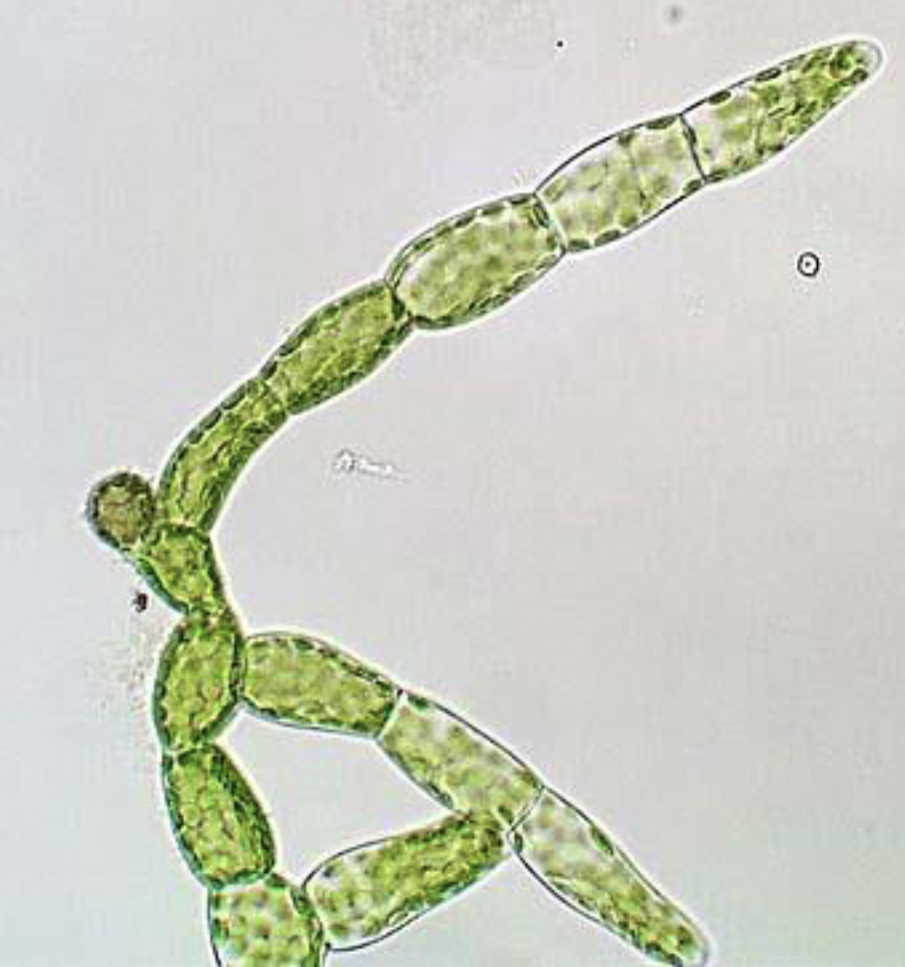 <p>What is this?</p>