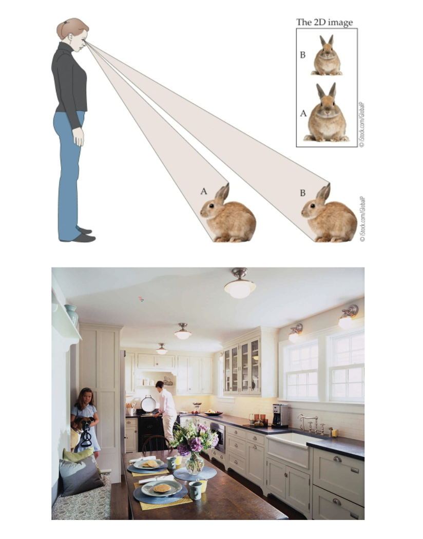 <p>closer. farther.</p><p>Near the horizon = farther; farther from the horizon = closer.</p><p>Ceiling Objects.</p><p>Relative Size.</p>